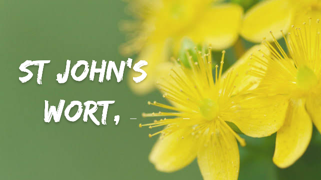 Mood Disorder এ কি গুল্ম Use করবেন ?