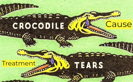 কুমিরের কান্না মানে মায়া কান্না !!