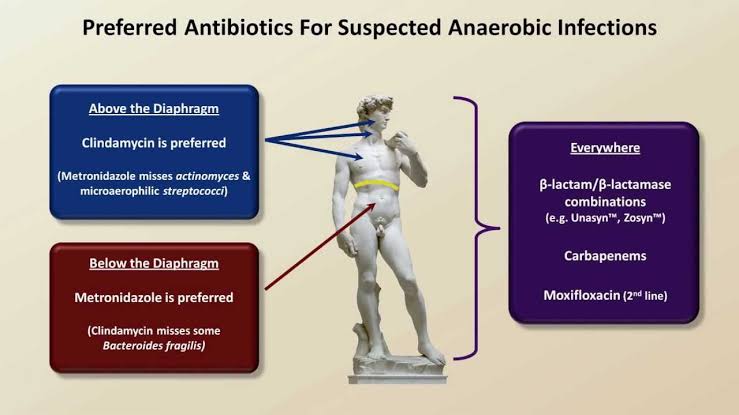 Preferred Antibiotic For Suspected Anaerobic Infections..
