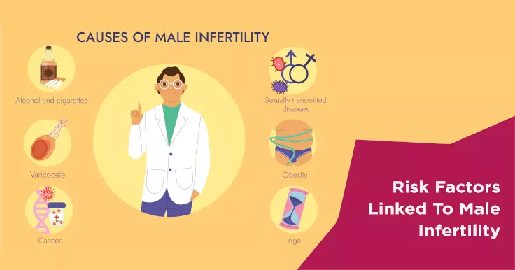 Infertility and Male factor (Specially Sperm related)